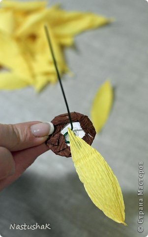 ������-����� ����-������ ������������� ��������������� ��� ������� �������� ������ ������������� ���� 8