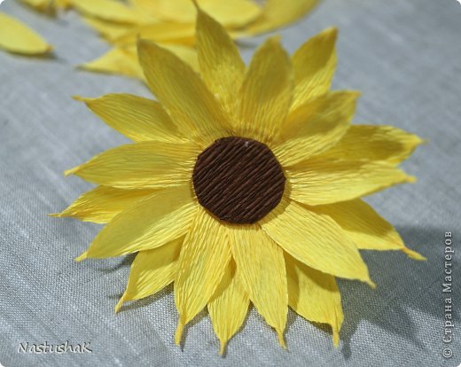 ������-����� ����-������ ������������� ��������������� ��� ������� �������� ������ ������������� ���� 11