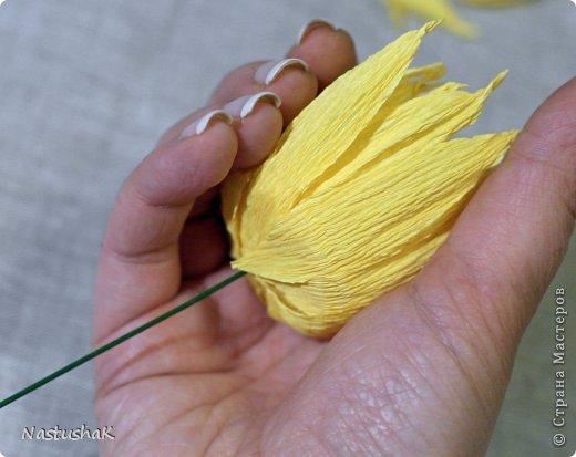 ������-����� ����-������ ������������� ��������������� ��� ������� �������� ������ ������������� ���� 14