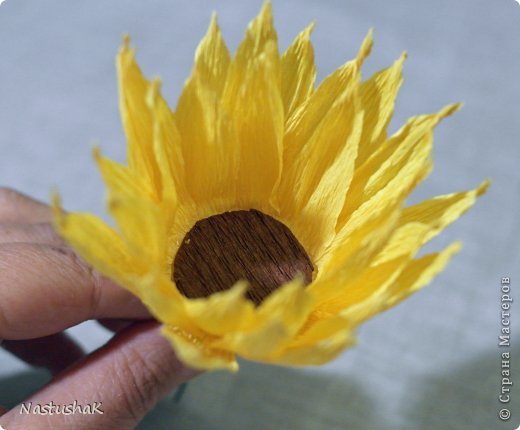 ������-����� ����-������ ������������� ��������������� ��� ������� �������� ������ ������������� ���� 15