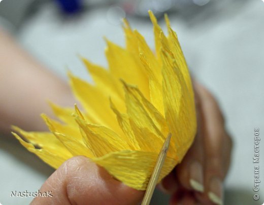 ������-����� ����-������ ������������� ��������������� ��� ������� �������� ������ ������������� ���� 16