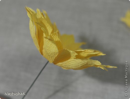 ������-����� ����-������ ������������� ��������������� ��� ������� �������� ������ ������������� ���� 19