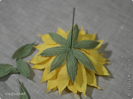 ������-����� ����-������ ������������� ��������������� ��� ������� �������� ������ ������������� ���� 25