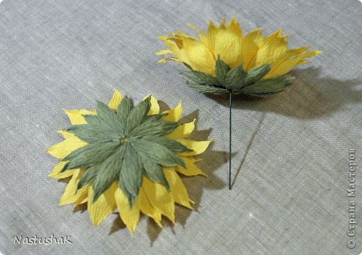 ������-����� ����-������ ������������� ��������������� ��� ������� �������� ������ ������������� ���� 29