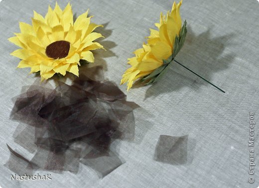 ������-����� ����-������ ������������� ��������������� ��� ������� �������� ������ ������������� ���� 30