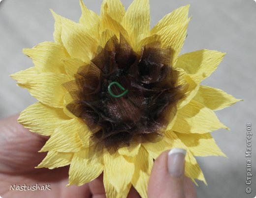 ������-����� ����-������ ������������� ��������������� ��� ������� �������� ������ ������������� ���� 36