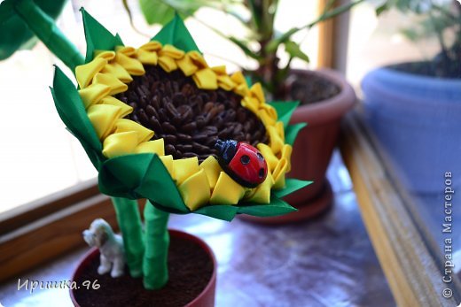 ������-����� ������� ������� 8 ����� ���� �������� ������������� ��������������� �� ���������� ���� ���� ����� ���� 1