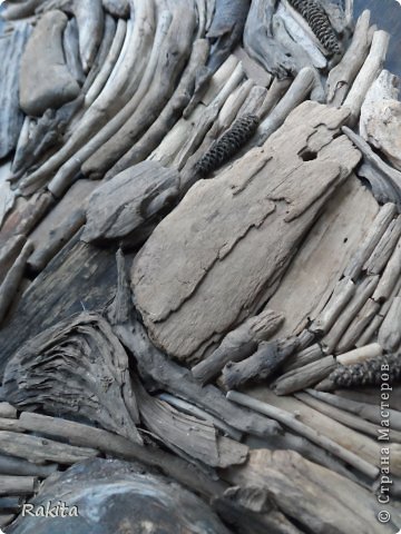 ������� ����� ������� ��������� ����� �� ������� � ������� �������� ��������� ���� 5