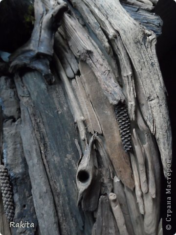 ������� ����� ������� ��������� ����� �� ������� � ������� �������� ��������� ���� 6