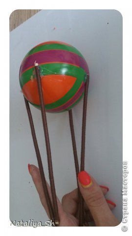 ������ �������� ������-����� ��������� ����-��� �� ���� ������ ���� 12