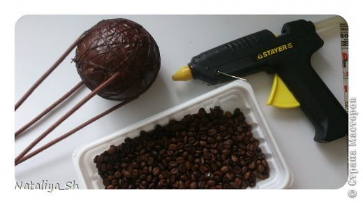 ������ �������� ������-����� ��������� ����-��� �� ���� ������ ���� 14