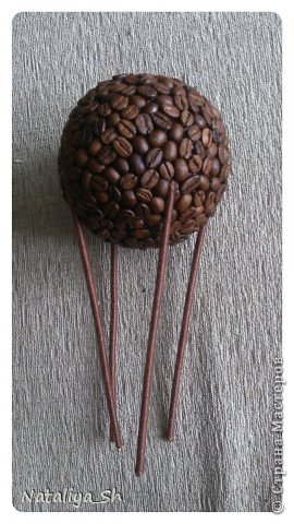 ������ �������� ������-����� ��������� ����-��� �� ���� ������ ���� 15