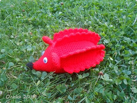 ������ �������� ������� ������� ����������� ����� ����� ���� 2