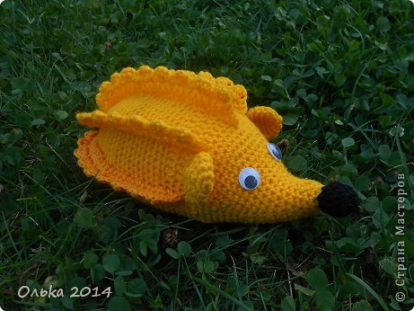 ������ �������� ������� ������� ����������� ����� ����� ���� 5