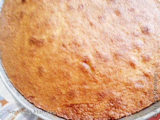 ��������� ������-����� ������ ���������� ������ �� ������� �������� ������� ���� 12