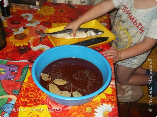 Кулинария Мастер-класс Рецепт кулинарный Копченая скумбрия как я ее делаю и не только Продукты пищевые фото 4