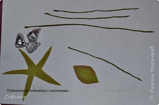 ������-����� ���������� ������������� ������������� ��������������� ������ ����� �� �������� ��������������� ���� � ��������  1 ����� �������� ��� ���� 17