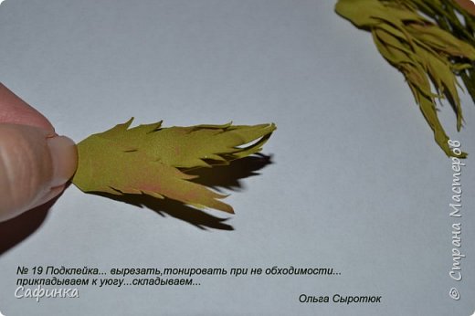 ������-����� ���������� ������������� ������������� ��������������� ������ ����� �� �������� ��������������� ���� � ��������  1 ����� �������� ��� ���� 19