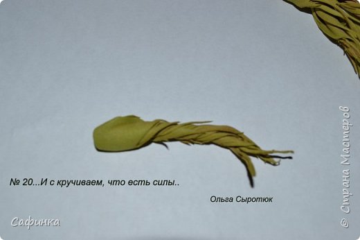 ������-����� ���������� ������������� ������������� ��������������� ������ ����� �� �������� ��������������� ���� � ��������  1 ����� �������� ��� ���� 20