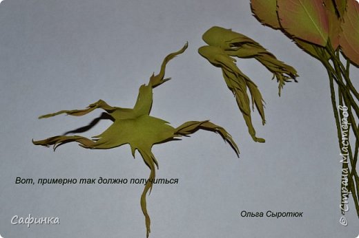 ������-����� ���������� ������������� ������������� ��������������� ������ ����� �� �������� ��������������� ���� � ��������  1 ����� �������� ��� ���� 21