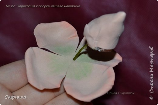 ������-����� ���������� ������������� ������������� ��������������� ������ ����� �� �������� ��������������� ���� � ��������  1 ����� �������� ��� ���� 22