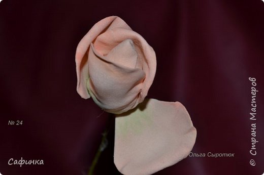 ������-����� ���������� ������������� ������������� ��������������� ������ ����� �� �������� ��������������� ���� � ��������  1 ����� �������� ��� ���� 24