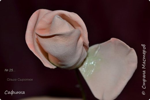 ������-����� ���������� ������������� ������������� ��������������� ������ ����� �� �������� ��������������� ���� � ��������  1 ����� �������� ��� ���� 25