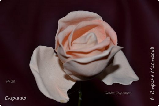 ������-����� ���������� ������������� ������������� ��������������� ������ ����� �� �������� ��������������� ���� � ��������  1 ����� �������� ��� ���� 28