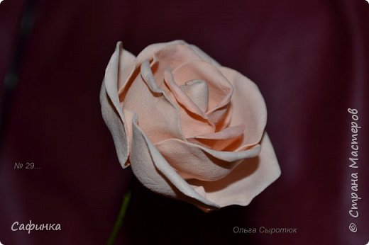 ������-����� ���������� ������������� ������������� ��������������� ������ ����� �� �������� ��������������� ���� � ��������  1 ����� �������� ��� ���� 29