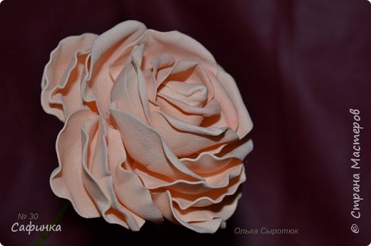 ������-����� ���������� ������������� ������������� ��������������� ������ ����� �� �������� ��������������� ���� � ��������  1 ����� �������� ��� ���� 30