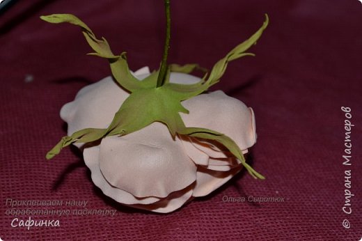 ������-����� ���������� ������������� ������������� ��������������� ������ ����� �� �������� ��������������� ���� � ��������  1 ����� �������� ��� ���� 31