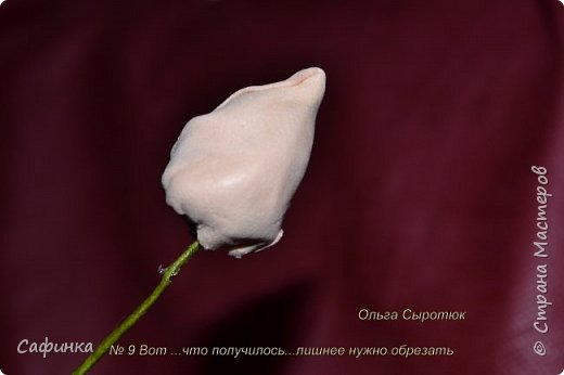 ������-����� ���������� ������������� ������������� ��������������� ������ ����� �� �������� ��������������� ���� � ��������  1 ����� �������� ��� ���� 9