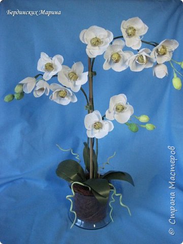 Мастер-класс Мастер-класс по сознанию цветка орхидеи  фото 1