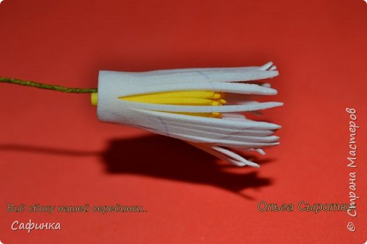 ������-����� ������������� ��������������� ������-����� ����� ���������� �� ����� �������� ��� ���� 10