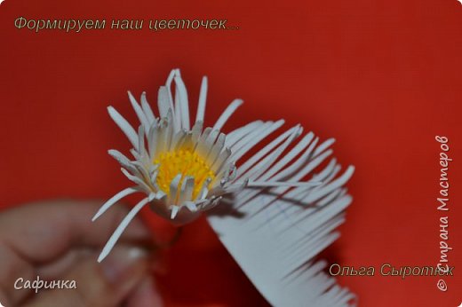 ������-����� ������������� ��������������� ������-����� ����� ���������� �� ����� �������� ��� ���� 11