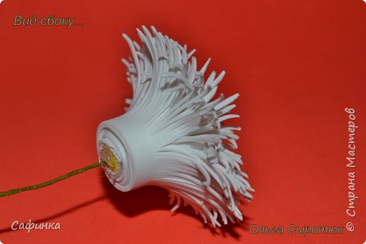 ������-����� ������������� ��������������� ������-����� ����� ���������� �� ����� �������� ��� ���� 13