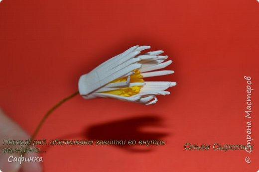 ������-����� ������������� ��������������� ������-����� ����� ���������� �� ����� �������� ��� ���� 8