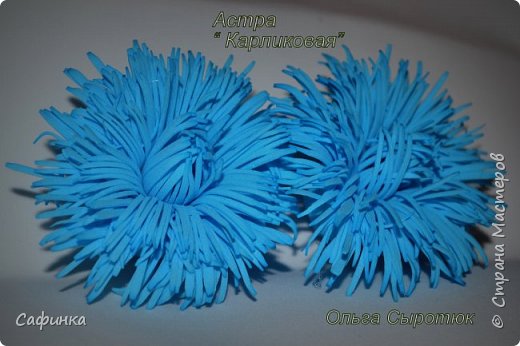 ������-����� ������������� ��������������� ������-����� ����� ���������� �� ����� �������� ��� ���� 14