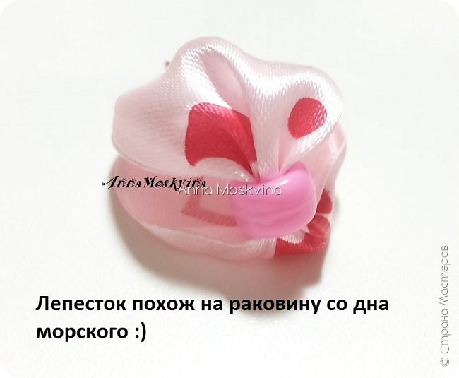  -  8         -       2