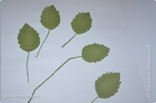 Мастер-класс Бумагопластика МК по изготовлению листьев из гофробумаги Бумага гофрированная Фоамиран фом фото 8