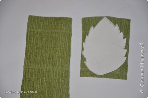 Мастер-класс Бумагопластика МК по изготовлению листьев из гофробумаги Бумага гофрированная Фоамиран фом фото 3