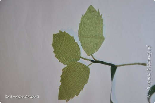 Мастер-класс Бумагопластика МК по изготовлению листьев из гофробумаги Бумага гофрированная Фоамиран фом фото 11