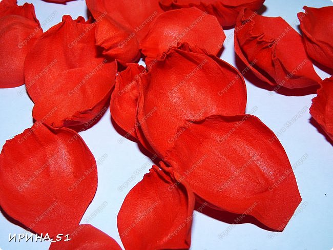 ������-����� ���������� ������������� ������������� ��������������� �� ����� �� ���� �������� ��� ���� 5