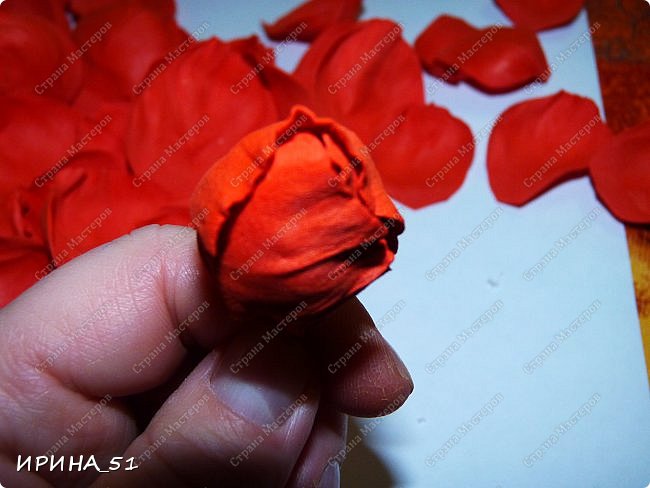 ������-����� ���������� ������������� ������������� ��������������� �� ����� �� ���� �������� ��� ���� 7