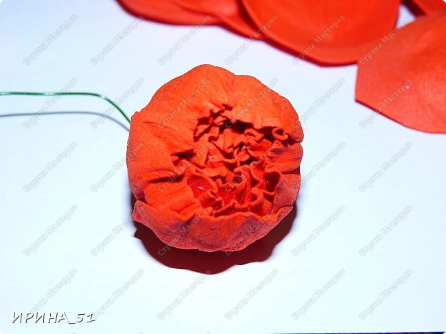 ������-����� ���������� ������������� ������������� ��������������� �� ����� �� ���� �������� ��� ���� 9