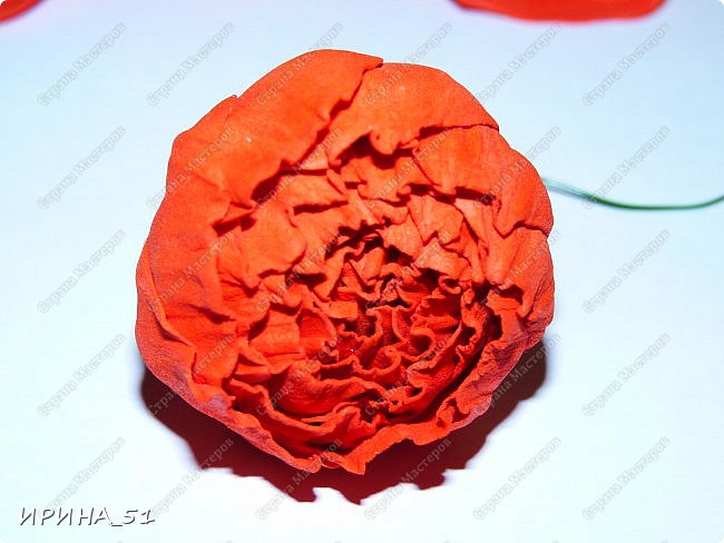 ������-����� ���������� ������������� ������������� ��������������� �� ����� �� ���� �������� ��� ���� 10