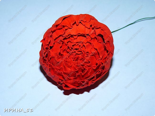 ������-����� ���������� ������������� ������������� ��������������� �� ����� �� ���� �������� ��� ���� 12