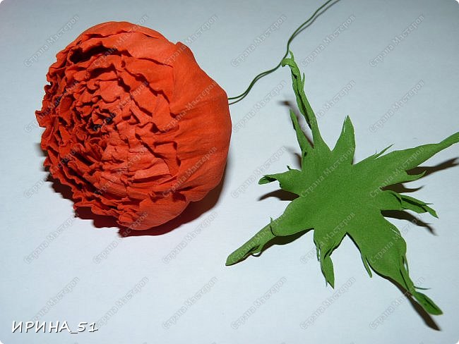 ������-����� ���������� ������������� ������������� ��������������� �� ����� �� ���� �������� ��� ���� 13