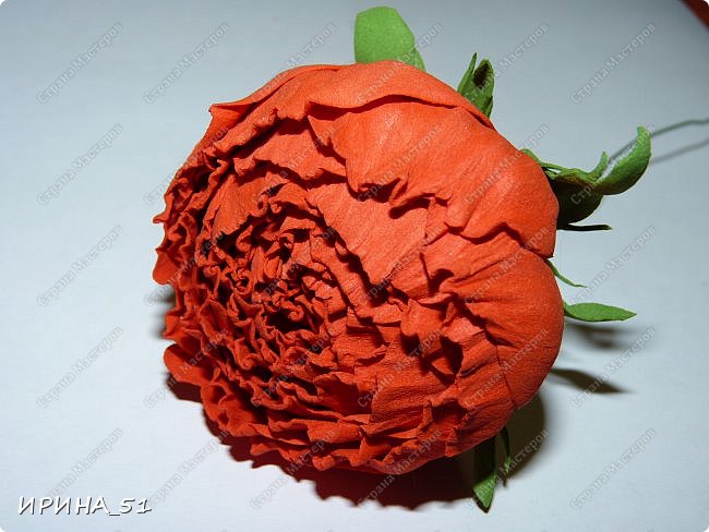 ������-����� ���������� ������������� ������������� ��������������� �� ����� �� ���� �������� ��� ���� 14