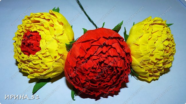 ������-����� ���������� ������������� ������������� ��������������� �� ����� �� ���� �������� ��� ���� 15